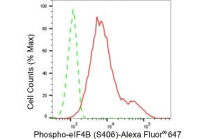 Flow cytometric analysis of Phospho-eIF4B (S406) expression in C2C12 cells using Phospho-eIF4B (S406) antibody (ABIN7798527), 1:2,000). (Recombinant EIF4B antibody  (pSer406))