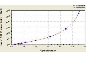 RCAS1 ELISA Kit