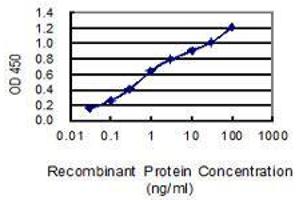 ELISA image for anti-High Mobility Group Box 1 (HMGB1) (AA 1-215) antibody (ABIN1326935)