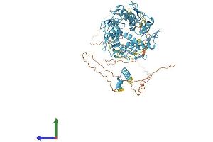 AlphaFold protein structure predicition of Human Recombinant ZNF44 Protein, UniprotID P15621 (Zinc Finger Protein 44 Protein (ZNF44) (AA 1-663) (His tag))