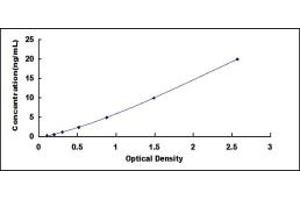 Typical standard curve (ATF6 ELISA Kit)