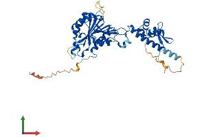 AlphaFold protein structure predicition of Mouse Recombinant Henmt1 Protein, UniprotID Q8CAE2