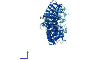 Protein Structure (PS) image for TROVE Domain Family, Member 2 (TROVE2) (AA 1-538) protein (His tag) (ABIN7562213)