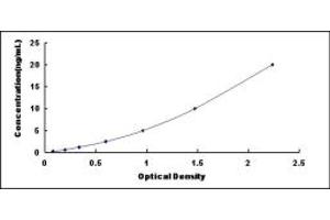 Typical standard curve (NR4A3 ELISA Kit)