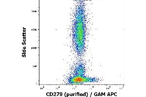 Flow cytometry surface staining pattern of human peripheral blood stained using anti-human CD279 (EH12. (PD-1 antibody)