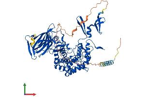 AlphaFold protein structure predicition of Mouse Recombinant Glce Protein, UniprotID Q9EPS3 (GLCE Protein (AA 1-618) (His tag))