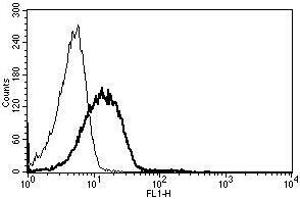 A typical staining pattern with the B-T1 monoclonal antibody of lymphocytes (ICAM2 antibody)