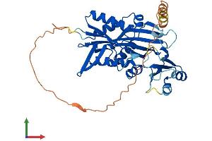 AlphaFold protein structure predicition of Mouse Recombinant Rimklb Protein, UniprotID Q80WS1