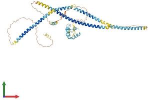 Protein Structure (PS) image for EF-hand calcium binding domain 14 (EFCAB14) (AA 1-484) protein (His tag) (ABIN7558574)