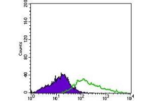 Flow cytometric analysis of HL60 cells using ITGA2B mouse mAb (green) and negative control (purple). (Integrin Alpha2b antibody  (AA 45-149))