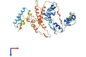 Protein Structure (PS) image for Zinc Finger Protein 793 (ZNF793) (AA 1-406) protein (His tag) (ABIN7545499)