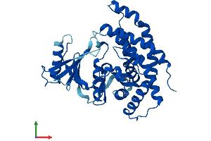 Protein Structure (PS) image for Ethanolamine Kinase 1 (ETNK1) (AA 1-363) protein (His tag) (ABIN7560996)