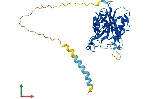 AlphaFold protein structure predicition of Human Recombinant B3GAT1 Protein, UniprotID Q9P2W7 (CD57 Protein (AA 1-334) (His tag))