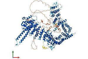 AlphaFold protein structure predicition of Mouse Recombinant Stag2 Protein, UniprotID O35638 (STAG2 Protein (AA 1-1231) (His tag))