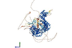 AlphaFold protein structure predicition of Mouse Recombinant Fan1 Protein, UniprotID Q69ZT1