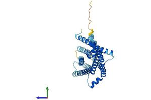 Protein Structure (PS) image for Taste Receptor, Type 2, Member 3 (TAS2R3) (AA 1-316) protein (His tag) (ABIN7544223)