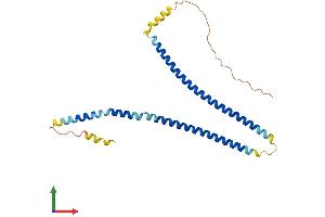 AlphaFold protein structure predicition of Mouse Recombinant Syce1l Protein, UniprotID Q5D525
