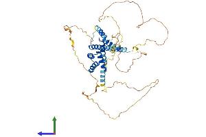 Protein Structure (PS) image for Meis Homeobox 2 (MEIS2) (AA 1-477) protein (His tag) (ABIN7554511)