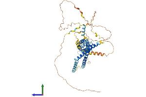 Protein Structure (PS) image for Tricellulin (MARVELD2) (AA 1-555) protein (His tag) (ABIN7557322)