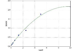 Pyruvate Dehydrogenase Kinase 1 (PDK1) ELISA Kit