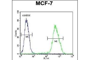 LMO4 Antibody (Center) (ABIN654714 and ABIN2844403) flow cytometric analysis of MCF-7 cells (right histogram) compared to a negative control cell (left histogram). (LMO4 antibody  (AA 104-131))