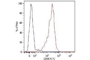 Surface staining of human peripheral blood cells with anti-human CD98 (MEM-108) FITC. (SLC3A2 antibody  (Biotin))