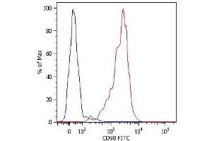 Surface staining of human peripheral blood cells with anti-human CD98 (MEM-108) FITC. (SLC3A2 antibody  (Biotin))