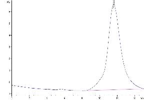 The purity of Human EPHB2 is greater than 95 % as determined by SEC-HPLC. (EPH Receptor B2 Protein (EPHB2) (AA 19-543) (His tag))
