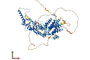 AlphaFold protein structure predicition of Mouse Recombinant Bbs10 Protein, UniprotID Q9DBI2 (BBS10 Protein (AA 1-713) (His tag))
