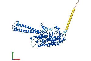 AlphaFold protein structure predicition of Human Recombinant SARS1 Protein, UniprotID P49591 (Seryl-tRNA Synthetase (SARS) (AA 1-514) protein (His tag))