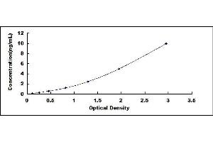 CD5 Molecule-Like (CD5L) ELISA Kit
