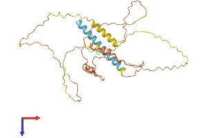 AlphaFold protein structure predicition of Human Recombinant FAM153A Protein, UniprotID Q9UHL3 (FAM153A Protein (AA 1-310) (His tag))