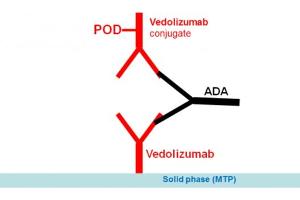 Image no. 1 for Vedolizumab Antibody ELISA Kit (ABIN5519325)