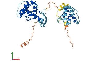 AlphaFold protein structure predicition of Mouse Recombinant Parvg Protein, UniprotID Q9ERD8 (PARVG Protein (AA 1-331) (His tag))