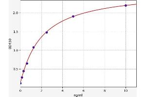 Typical standard curve (CENPF ELISA Kit)