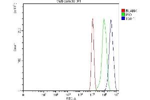 Flow Cytometry analysis of PC-3 cells using anti-TGIF/TGIF1 antibody (ABIN7600959). (TGIF1 antibody  (AA 26-401))