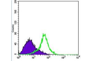 Flow Cytometry (FACS) image for anti-Metadherin (MTDH) antibody (ABIN1108306) (MTDH antibody)