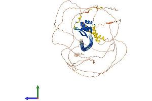 Protein Structure (PS) image for Dachshund 1 (DACH1) (AA 1-751) protein (His tag) (ABIN7565156)