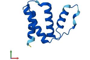 AlphaFold protein structure predicition of Human Recombinant ACBD7 Protein, UniprotID Q8N6N7 (ACBD7 Protein (AA 1-88) (Fc Tag))