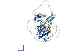 AlphaFold protein structure predicition of Human Recombinant OSBPL3 Protein, UniprotID Q9H4L5