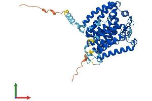 AlphaFold protein structure predicition of Mouse Recombinant Alg3 Protein, UniprotID Q8K2A8 (ALG3 Protein (AA 1-438) (His tag))