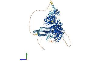 AlphaFold protein structure predicition of Human Recombinant PLCB2 Protein, UniprotID Q00722 (Phospholipase C beta 2 Protein (AA 1-1185) (His tag))