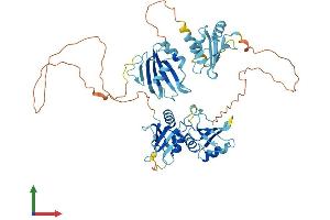 AlphaFold protein structure predicition of Human Recombinant PTBP3 Protein, UniprotID O95758
