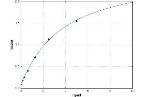 Toll-Like Receptor 7 (TLR7) ELISA Kit