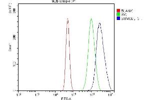 Flow Cytometry analysis of A431 cells using anti-SUMO2/3 antibody (ABIN7600856). (SUMO2/3 antibody  (AA 24-72))