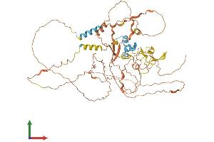 Protein Structure (PS) image for F-Box Protein 46 (FBXO46) (AA 1-603) protein (His tag) (ABIN7558534)
