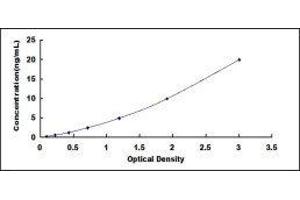 Typical standard curve (ODC1 ELISA Kit)