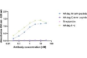 HA-tagged Protein was coated on an ELISA plate at 100 ng. (Recombinant HA-Tag antibody  (AA 98-106))