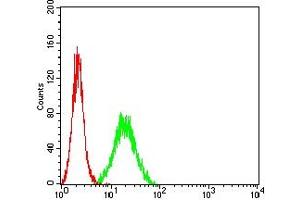 Flow cytometric analysis of Hela cells using CD45R mouse mAb (green) and negative control (red). (CD45 antibody  (AA 378-577))