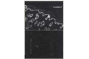 Image no. 1 for anti-Laminin 5 (LN-5) antibody (ABIN191724) (Laminin 5 antibody)